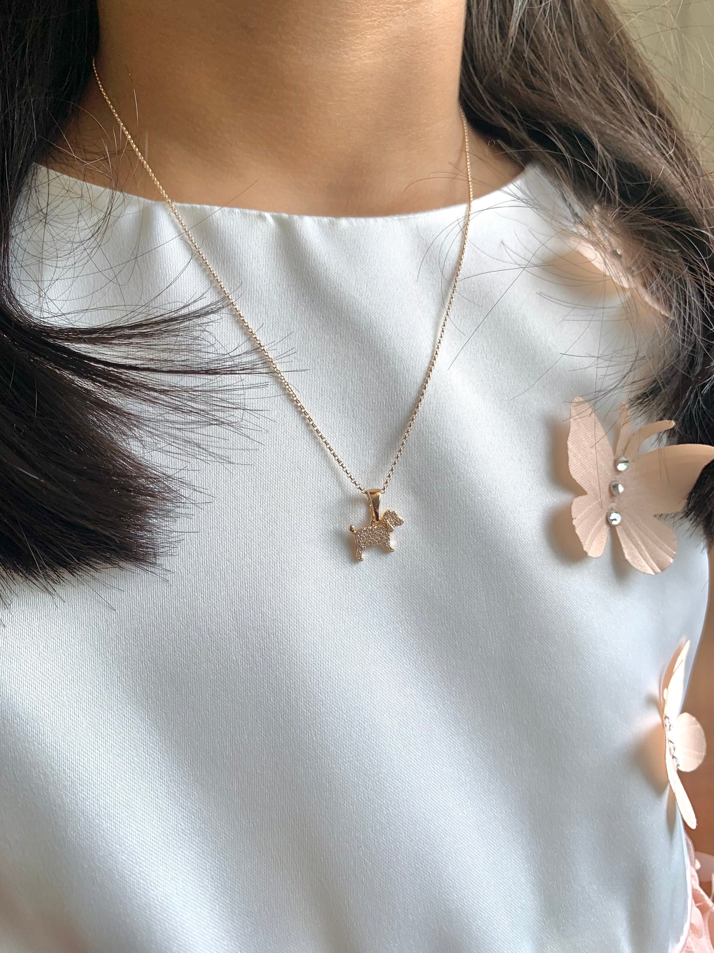 Collar Bobby